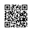 13411-05300 PLUNGER