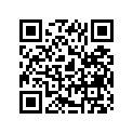 13413-08G00 .lever