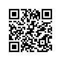13421-49360-000 Lever
