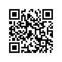 13422-49330-000 Lever