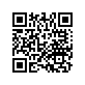 13433MJPDA0 WEIGHT, L. FR. BALANCER