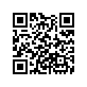 13522-ZW5-000 O-RING