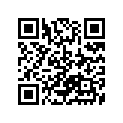 13533-98410 ERING