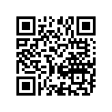 13553-05A20 .lever