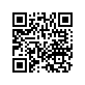 13623-MT3-000 PLATE B,TIMING BE