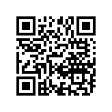 13696-26C00 .o Ring, Float Chamber