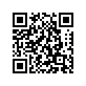 137-13137-00-10 SHIM,PLUNGER