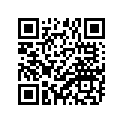 137-14143-27-00 . Jet, Main (#135) AP