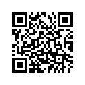 137-14143-60-A0 . Jet, Main (#300) AP
