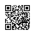 137-17427-00-06 Shim 1