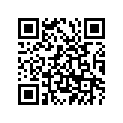 137-26242-60-00 Grip Rh