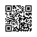 137-83912-02-38 LEVER L