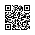 13780-21E00 .filter, Air