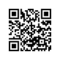 13853-05300