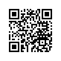 13S-11656-20-00 Вкладыш Шатунный