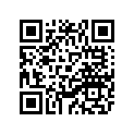13S-28219-00-00 Обтекатель Пластиковый