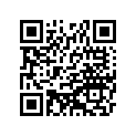 140251284