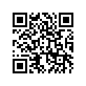140251531