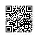1411-724 DECAL,GRAPHIC-REAR (SILVER OUTLINE)