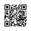 14401-107-000 CHAIN (DK210H-100L)