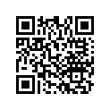 14530-PPA-003 SSBY-11-14530-RZA-A01-GUIDE,CAMCHAIN