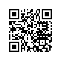 14611-312-000 GUIDE,CAM.CHAIN
