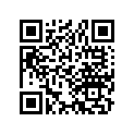 14611-323-000 Guide, Cam Chain