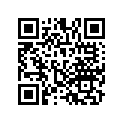 14647-PY3-000 WASHER,IN.WAVE