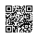14B-11656-20-00 Вкладыш Шатунный