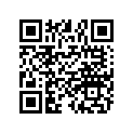 1501029 BODY CAP, 135PB 206-27-306