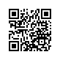 160091613 Needle-jet (option)