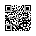 160091967 Needle-jet, 5jh (option)