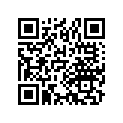 16011-382-004 SSBY-11-16011-KCK-910-VALVESET,FLOAT