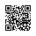 16011-ZW5-000 SSBY-11-16011-ZY3-A01-VALVESET,FLOAT