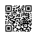 16021-679-005 ダイヤフラムセツト,ポンプ