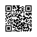 16023-ZW9-801 SSBY-11-16023-ZW9-803-CHAMBERSET,FLOAT