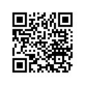 16028-187-003 SCREW SET B