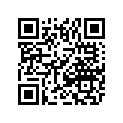 1603-932 DECAL,SHOCK-6.25X1.00