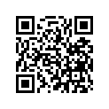 16031-ZW5-003 STAY,PLATE