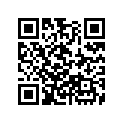 16032-ZW5-003 STAY,PLATE