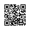 16075-ZW5-000 O-RING