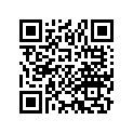 16080-461-751 O-RING SET