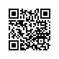 16084-MGZ-D01 O-ring, Sensor