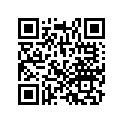 16123-ZW9-013 PLUNGERSET