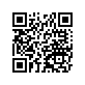 16126-0036 バルブ,タイヤ