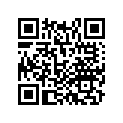 16149-KFG-000 STAY, WIRE