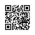16164-169-004 Needle, Jet