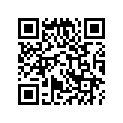 16173-250-004 O RING