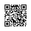 16175-260-004 O ring, 2.8dia