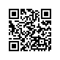 16187-0277 NEEDLE-JET,N9VU